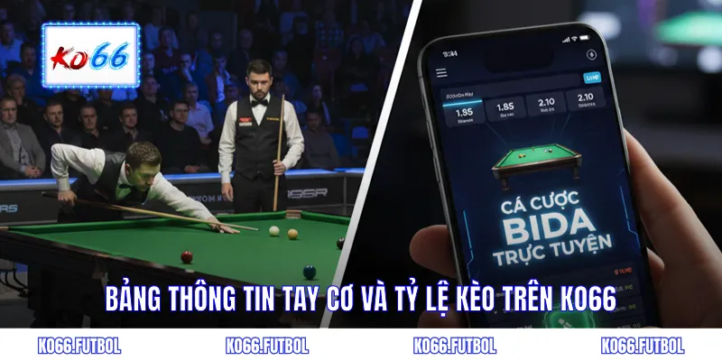 Bảng thông tin tay cơ và tỷ lệ trên KO66