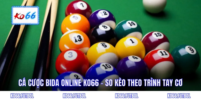 Cá cược bida online