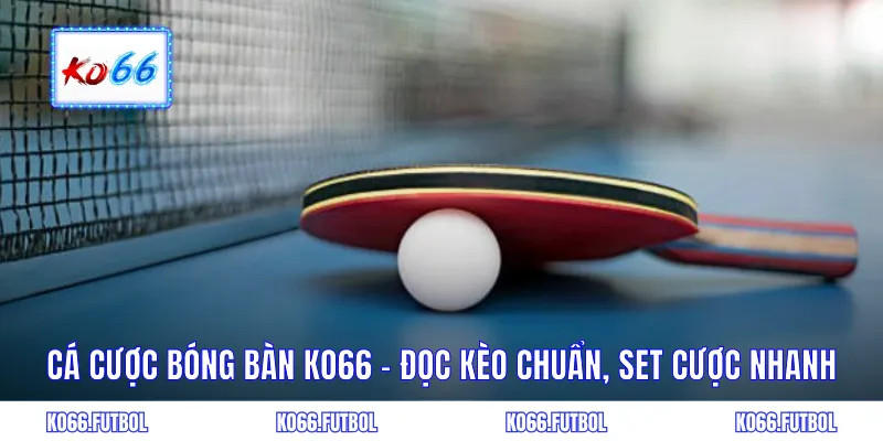 Cá cược bóng bàn