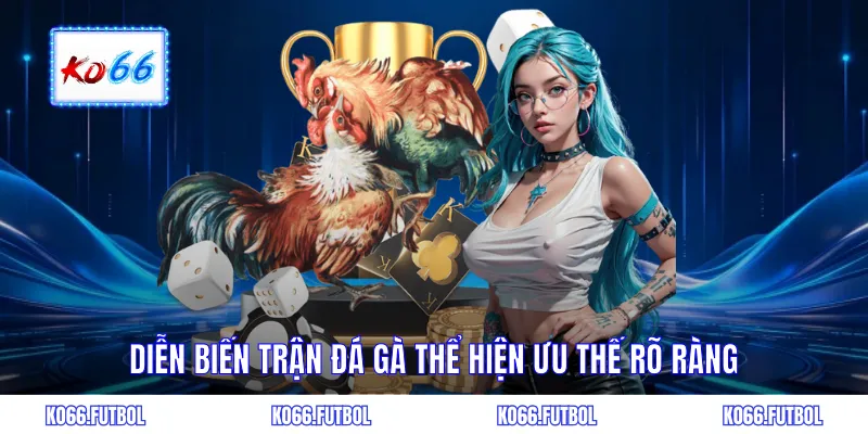 Diễn biến trận đá gà thể hiện ưu thế rõ ràng