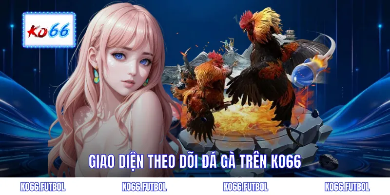 Giao diện theo dõi đá gà trên KO66