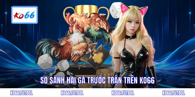 So sánh hai gà trước trận trên KO66